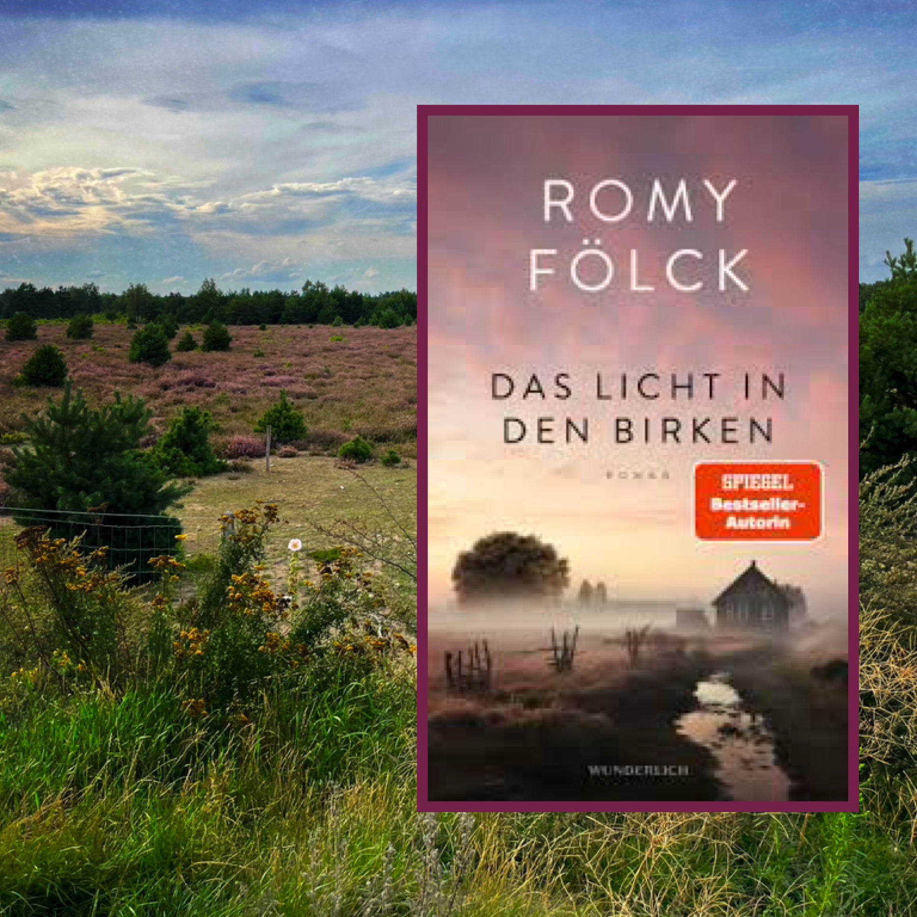 Romy Fölck, Das Licht in den Birken