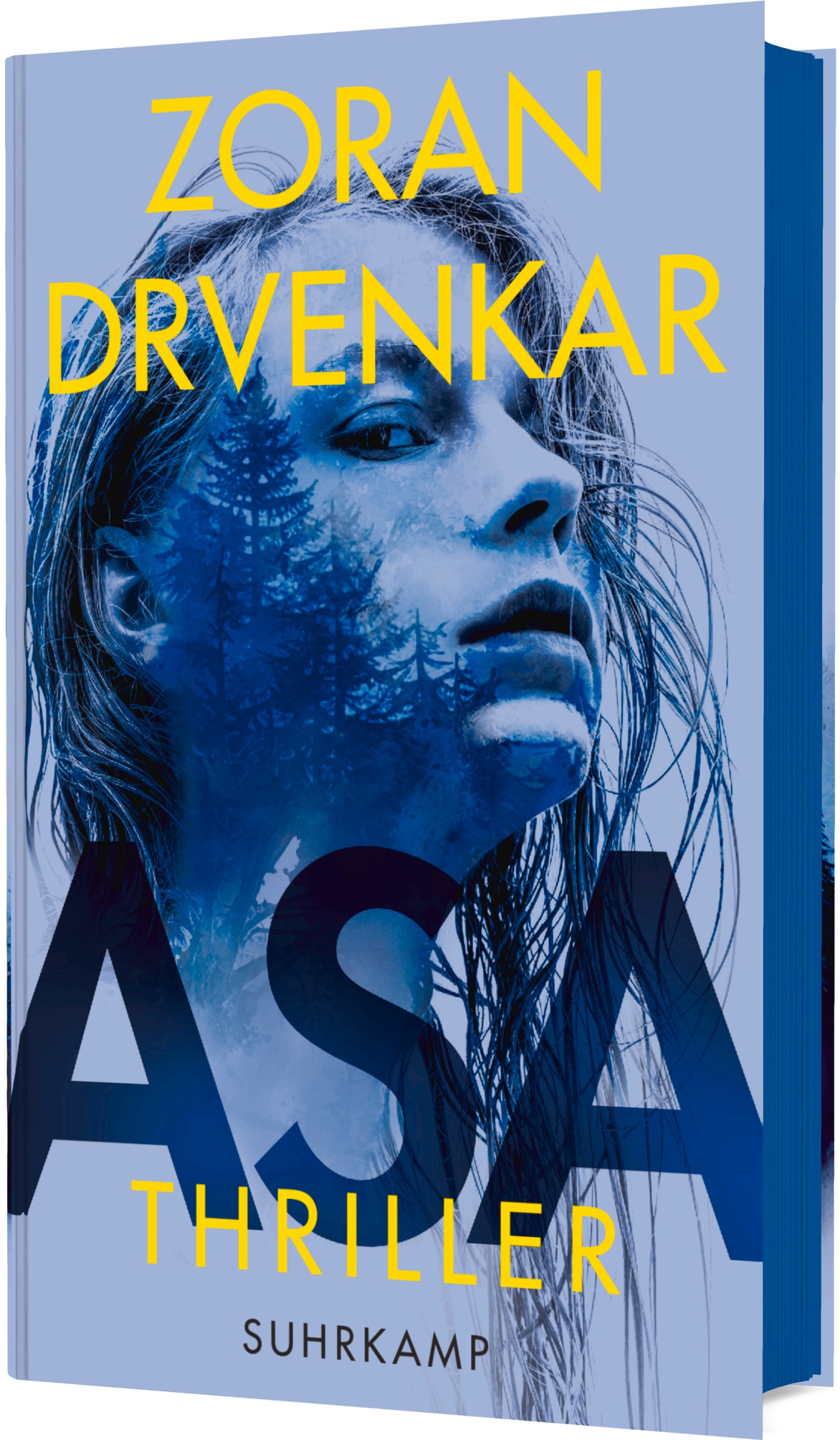 Zoran Drvenkar: Asa